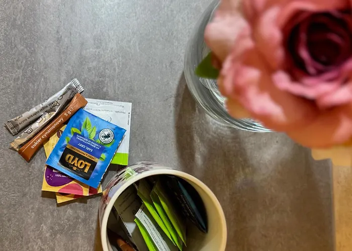 K22 Domaniewska Chopin Airport Apartment